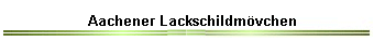 Aachener Lackschildmvchen