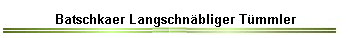 Batschkaer Langschnbliger Tmmler