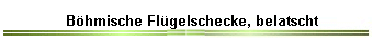 B�hmische Fl�gelschecke, belatscht