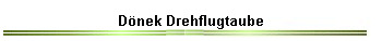 Dnek Drehflugtaube