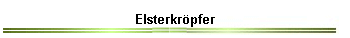 Elsterkrpfer