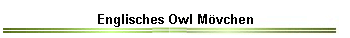 Englisches Owl Mvchen