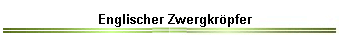 Englischer Zwergkrpfer