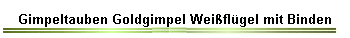 Gimpeltauben Goldgimpel Weiflgel mit Binden