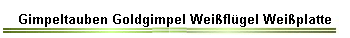 Gimpeltauben Goldgimpel Weiflgel Weiplatte