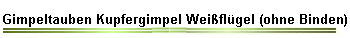 Gimpeltauben Kupfergimpel Weiflgel (ohne Binden)