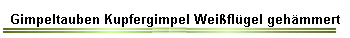 Gimpeltauben Kupfergimpel Weiflgel gehmmert