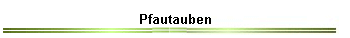 Pfautauben