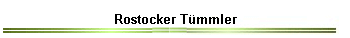 Rostocker Tmmler