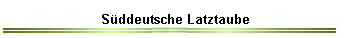 Sddeutsche Latztaube