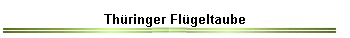 Th�ringer Fl�geltaube