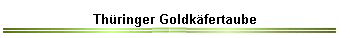 Th�ringer Goldk�fertaube
