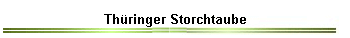 Th�ringer Storchtaube